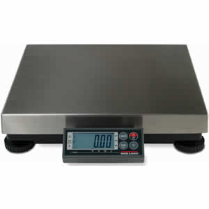 Bench Pro Scale
