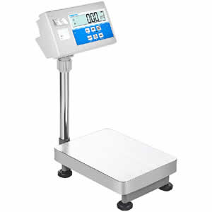 Label Printing Floor Scale