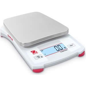 Portable Digital Scale