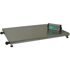 Industrial Platform Scale