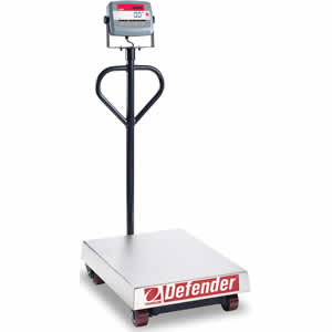 D31P500TX Scale