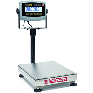 D31P60BR Scale