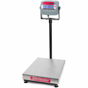 D31P60BL Scale
