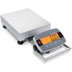 NTEP Approved Scale