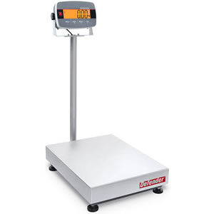 Legal for Trade Bench Scale