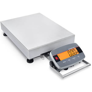 Checkweighing Scale