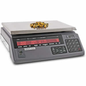 Electronic Counting Scale