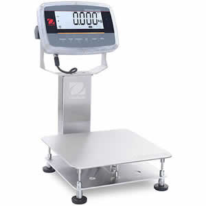 Washdown Food Preparation Scale