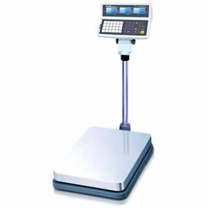 Price Computing Floor Scale