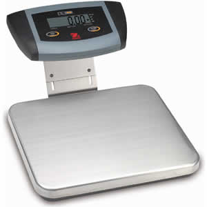 All-Purpose Bench Scale