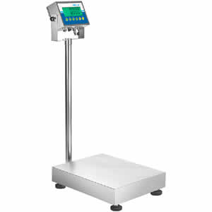 Stainless Steel Washdown Scale