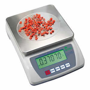 Portable Digital Scale