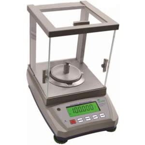 Portable Scale