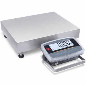 NSF Certified Scale