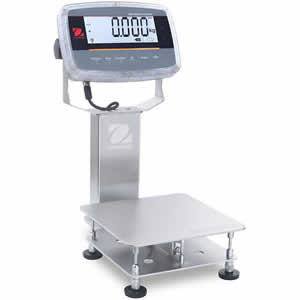 Check Weighing Scale