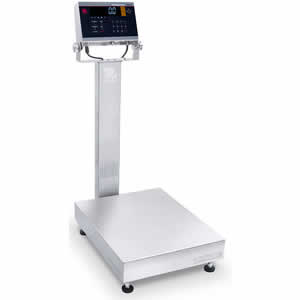 Checkweighing Bench Scale