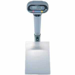 Checkweighing Scale