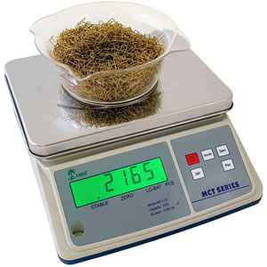 Digital Scale