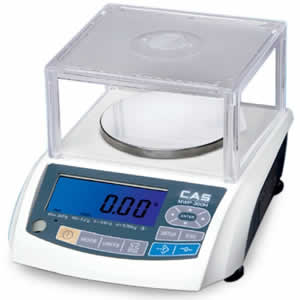 Portable Electronic Scale
