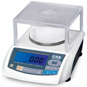 Portable Digital Scale