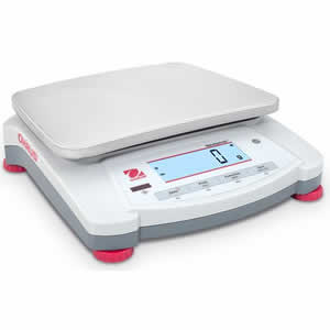 Electronic Portable Scale