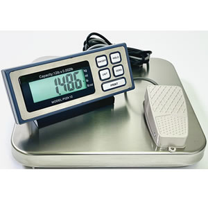 NSF Food Scale