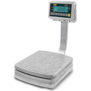 Stainless Steel Scale
