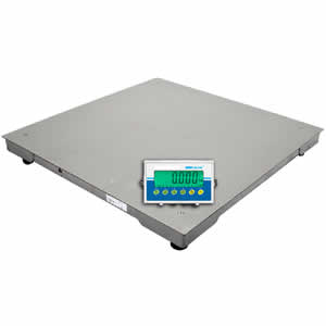 Stainless Steel Scale