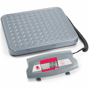 Electronic Bench Scale