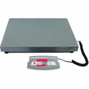 Digital Floor Scale