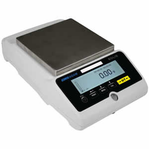 Electronic Scale