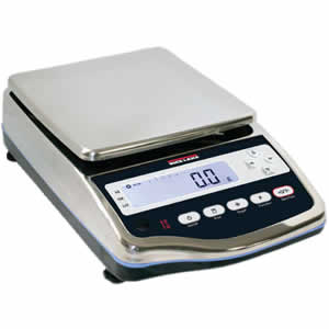 Stainless Digital Balance