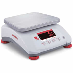 Compact Digital Scale