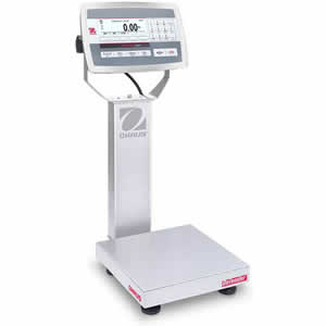 Washdown Bench Scale