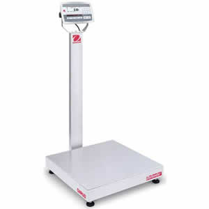 Checkweighing Scale