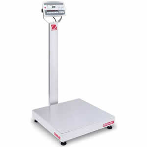 Checkweighing Bench Scale