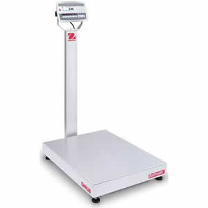 Checkweighing Bench Scale