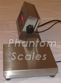 Stainless Steel Scale