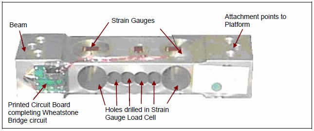 Load Cell