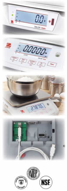 Valor 7000 Food Scale