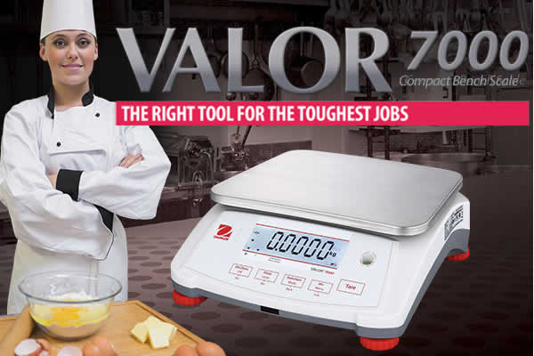 Valor 7000 NSF Scale