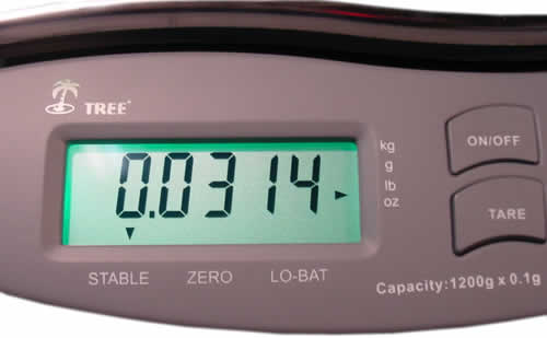 Digital Scale Display