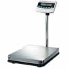  BW-60 NTEP Bench Scale 