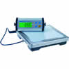  CPWplus 200 Electronic Scale 