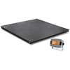 Ohaus i-DF33P5000B1L 