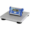 Doran Medical Floor Scale