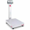  D52P250RTX2 Bench Scale 