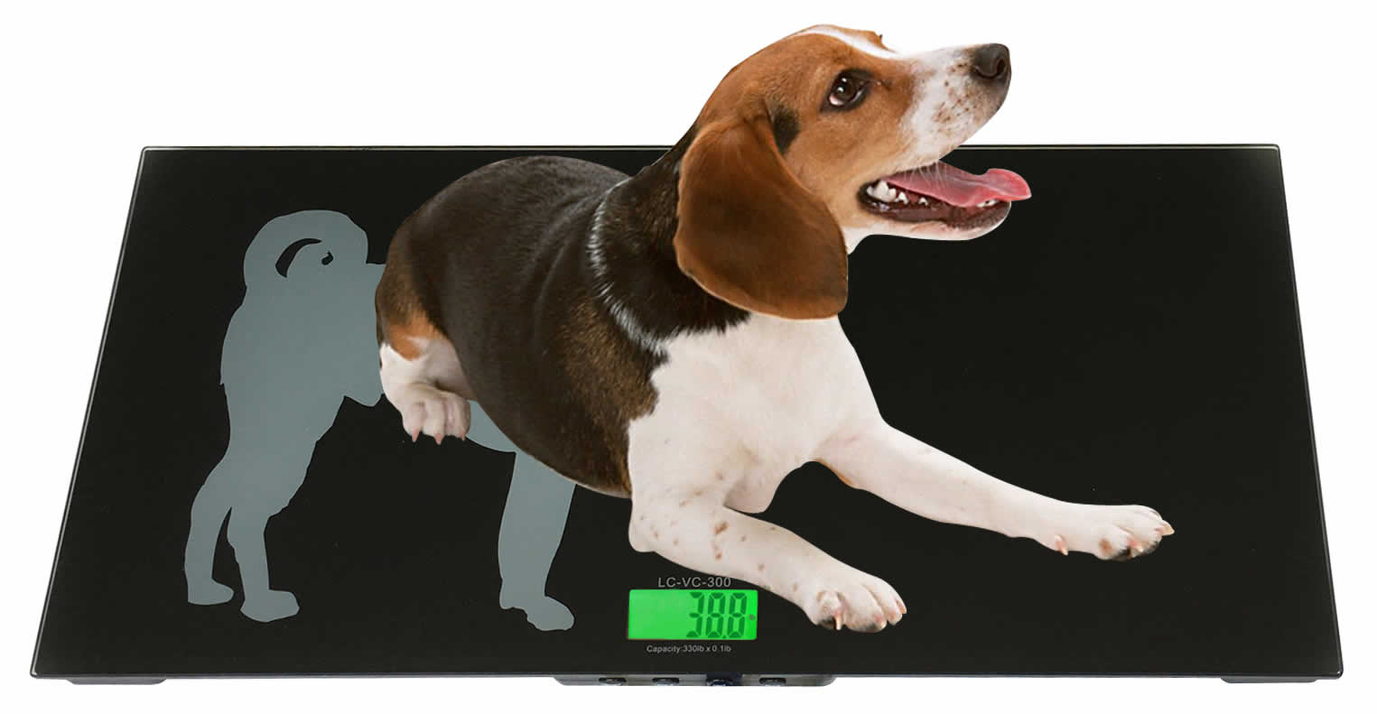 Tree LCVS-330LB Pet Weight Scale 330 lb x 0.1 lb Tempered Glass