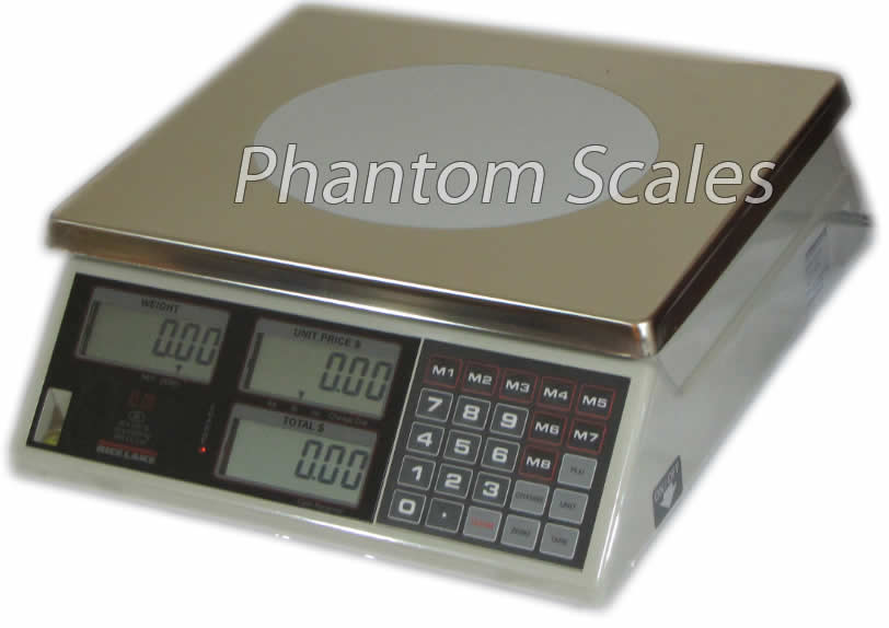 Washdown Scales  Rice Lake Weighing Systems